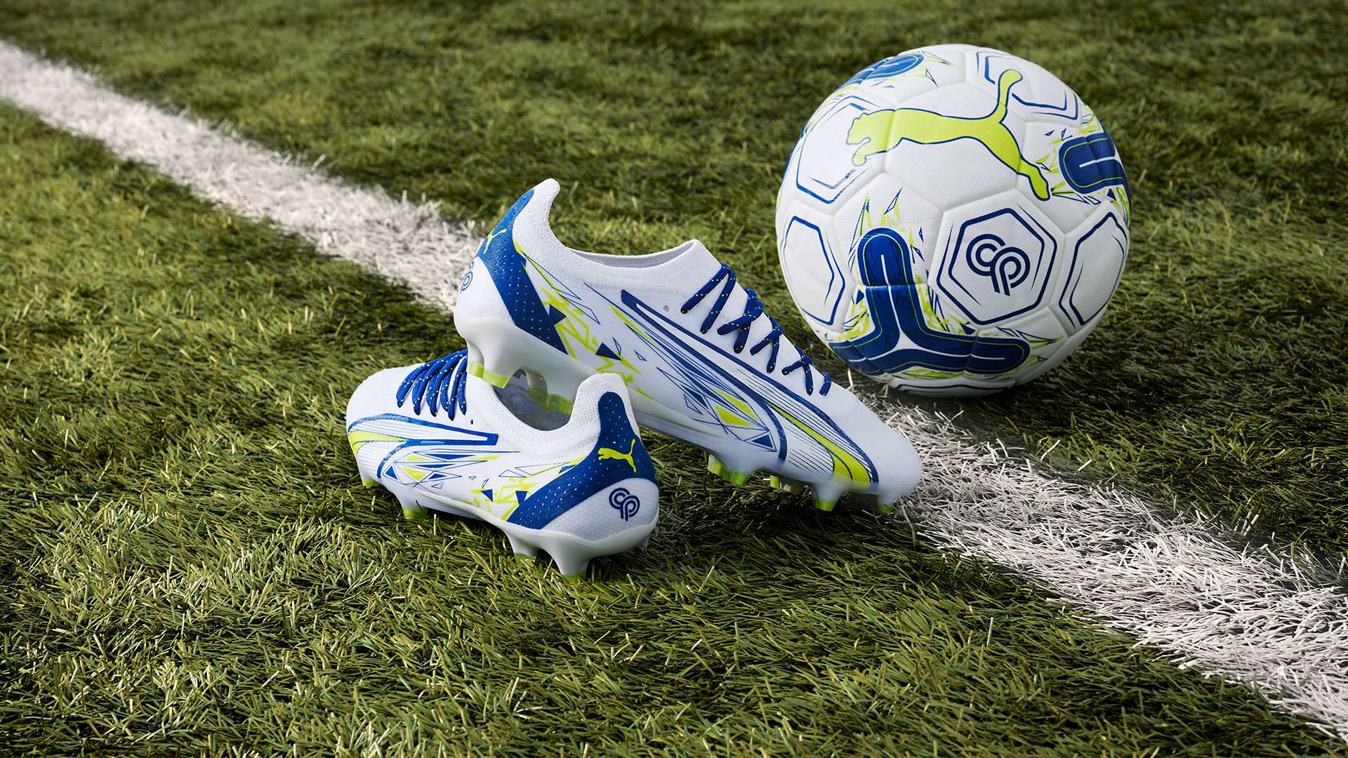 张维维凭借 张维维凭借